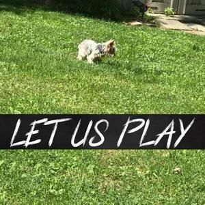 Meet your Posher, Terri